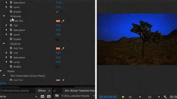 Adjust Saturation Step 6: Colorfast Midtones