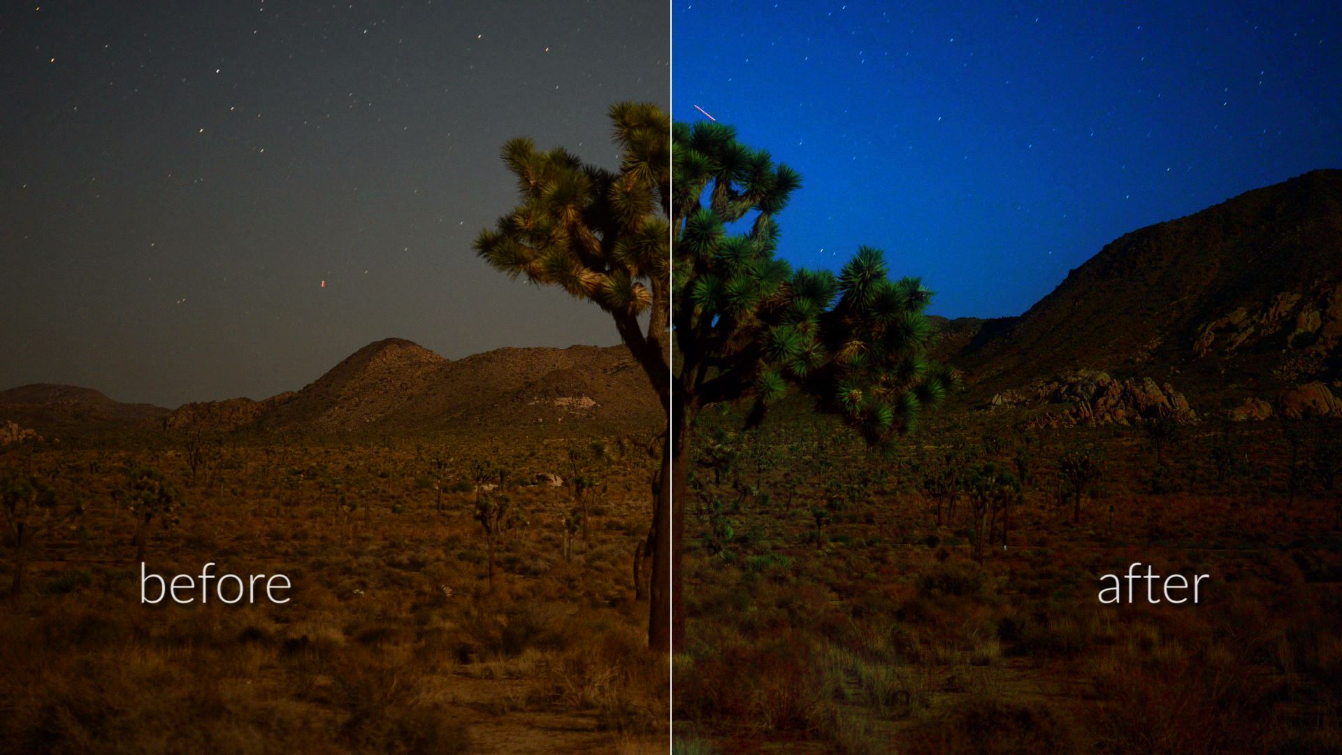 Adjust Vibrance Colofast: Before and After