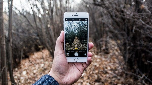 Phone taking a photo of an autumn forest path