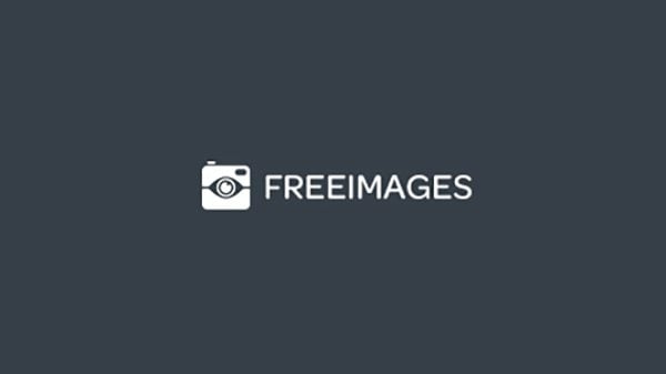 FreeImages offers more than 380,000 free stock images and more than 2 million images through their premium service