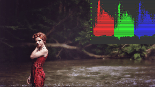 Red headed woman in red dress in front of a swamp. ColorFast 2 Video Scopes applied.