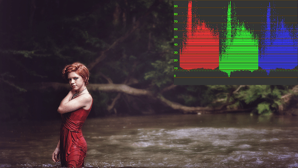 Red headed woman in front of swamp looking at the camera. ColorFast 2 Video Scopes applied.