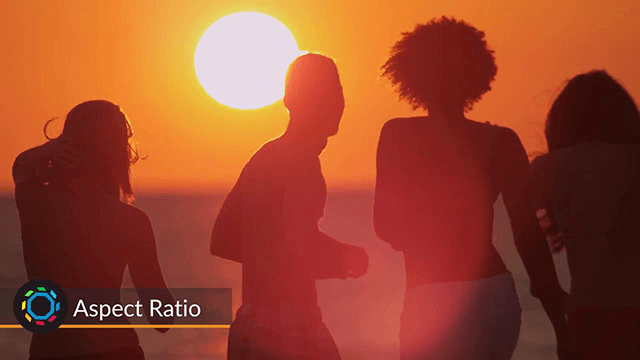 Get Industry Standard Aspect Ratios