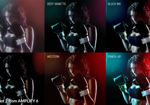 Amplify 6 ColorFast 2 from Amplify 6